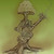 :iconokasitis:
