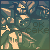 :iconokeicake: