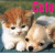 :iconokomotowoof: