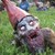 :iconoktoberherz: