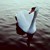 olcik13 :iconolcik13: