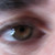 :iconold74: