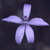 oldcanons :iconoldcanons: