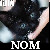 :iconoldenough2: