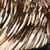 :iconoldfeathers: