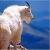 :iconoldgoat57: