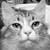 :iconoleandra13:
