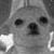 :iconolejoebones: