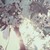:iconolek1810: