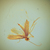:iconolenina: