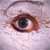:iconolgy:
