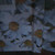 :iconolik54: