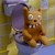 :iconolikwiatek010: