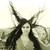 :iconolinaaa3: