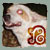 :iconolirgpin: