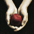 :iconolisetto:
