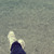 :iconoliveandlemon: