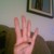 :iconoliveblossom6:
