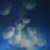 :iconolivesrscary: