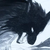 :iconoliviapaige010: