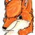 :iconollie-wodge: