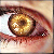 :iconolwena: