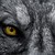 :iconomac12:
