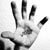 :iconomaphotography:
