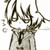 :iconomayda: