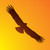 :iconombrasselfir: