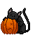 OmbreKitten :iconombrekitten: