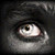 :iconombud21: