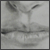 :iconomega52: