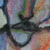 :iconomegaiori: