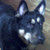 :iconomegareapirx:
