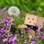 :iconomgpitu00: