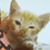 :iconomnomfotograffies: