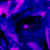 :iconomo-sanza-grata: