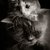 :iconomoyit: