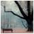 :iconon-park-benches: