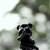 :iconon-summertime: