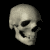 :iconon-the-rock93: