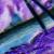 :iconon-your-wings: