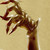 :icononceafox: