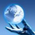 :iconone-8-seven: