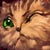 :iconone-lilac: