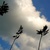 :iconone-plucks: