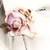one-rosy-cheek :iconone-rosy-cheek: