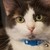 :icononechance145: