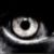 :icononeColouredRainbow: